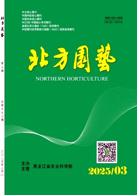 cb14747d00dffce4f5bd75a7e1d31373_bfyy.jpg
