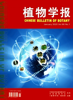 636cd05f31d827d07568ca63fb9f1a92_zwxt.jpg