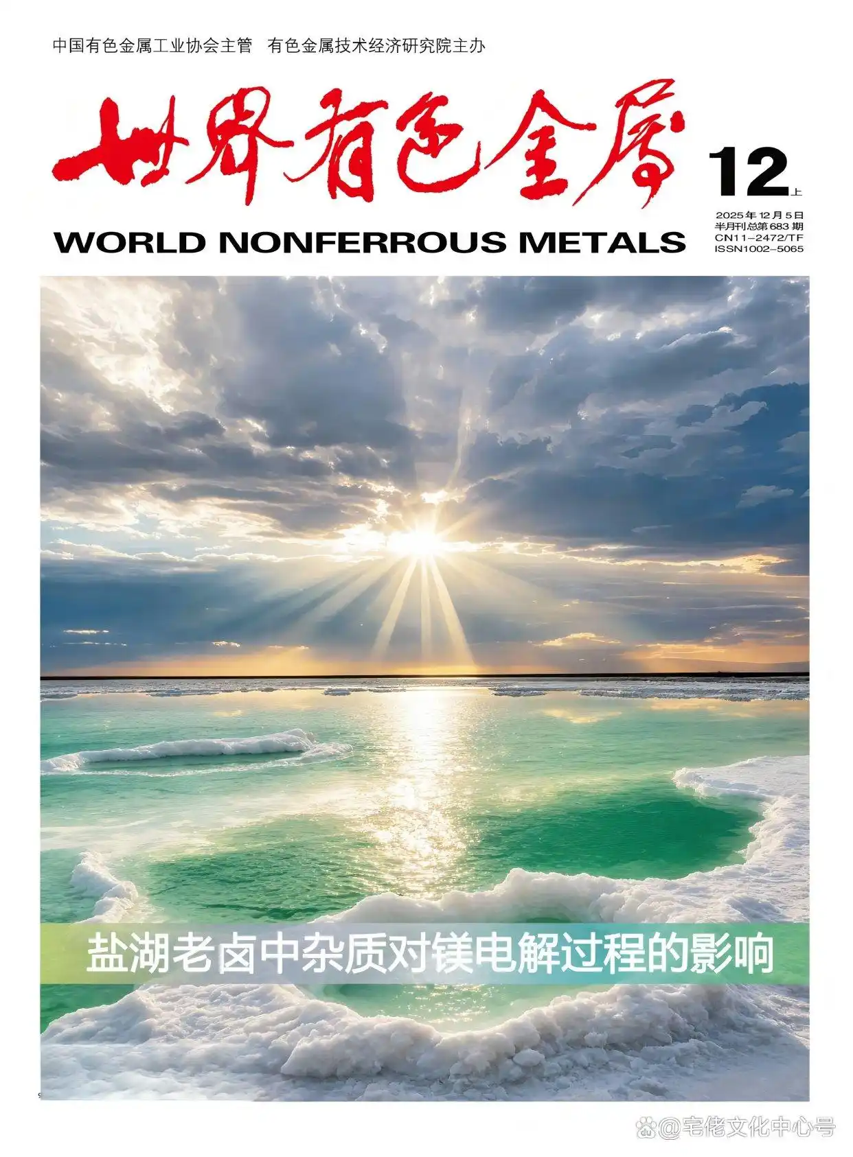 267f9e2f07082838a90a2d9dedd6e3104d08f191 (1).webp